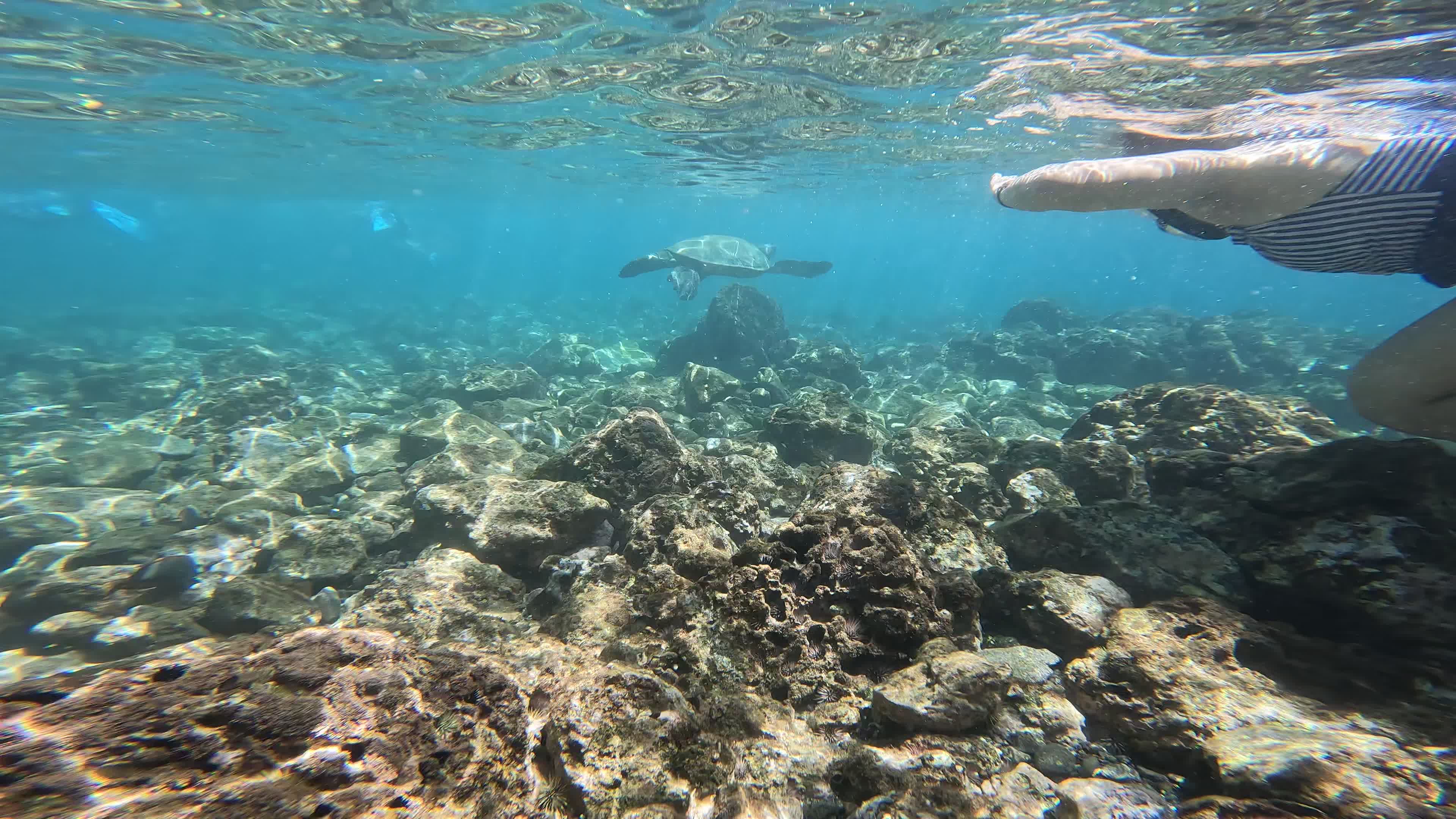 Video review of Makena Landing