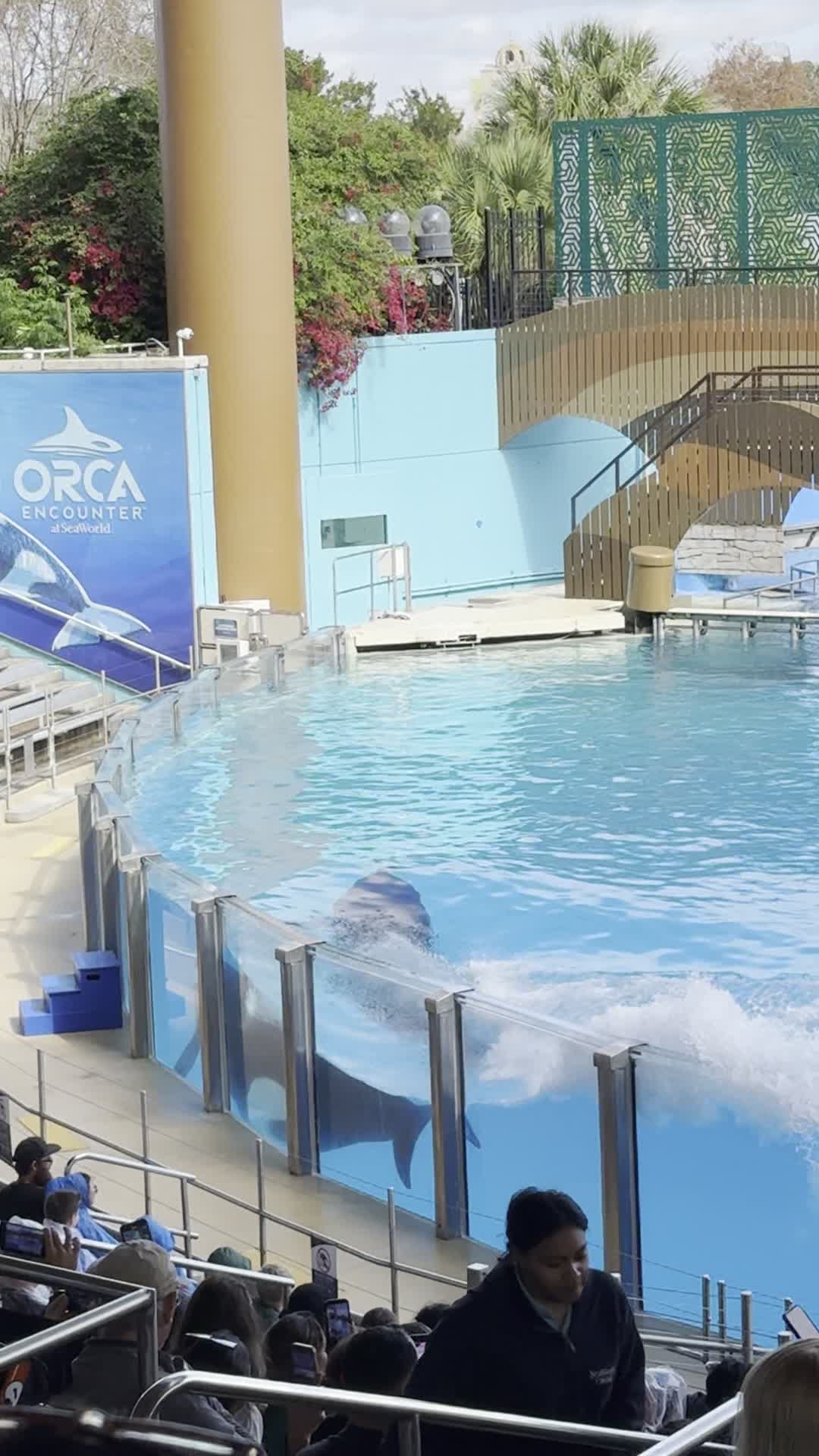 SeaWorld Orlando