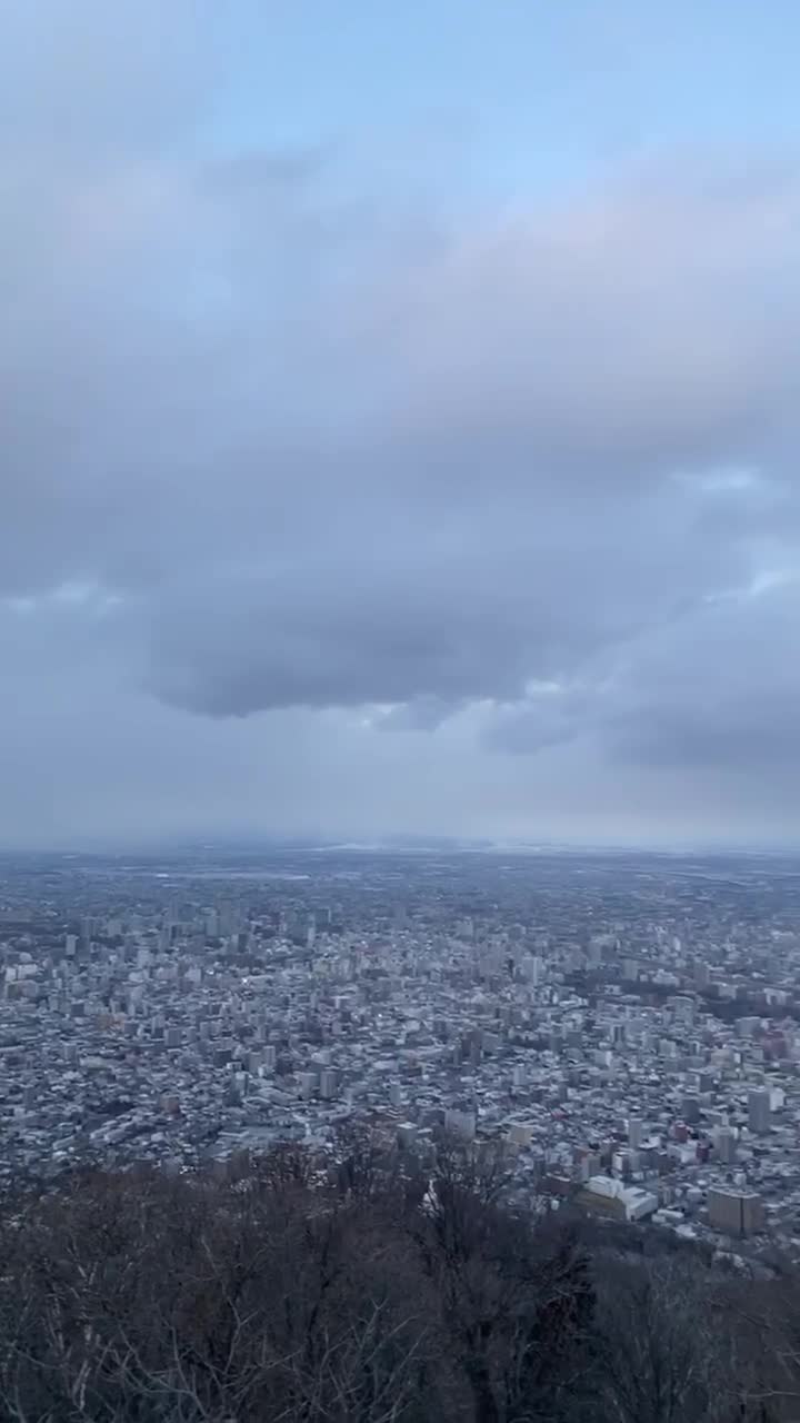 MoiwaView