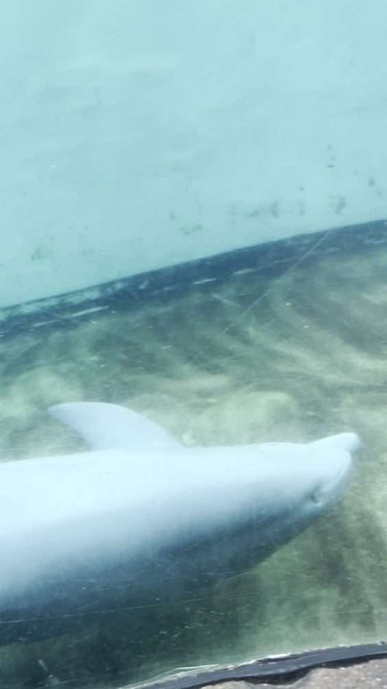 SeaWorld Orlando