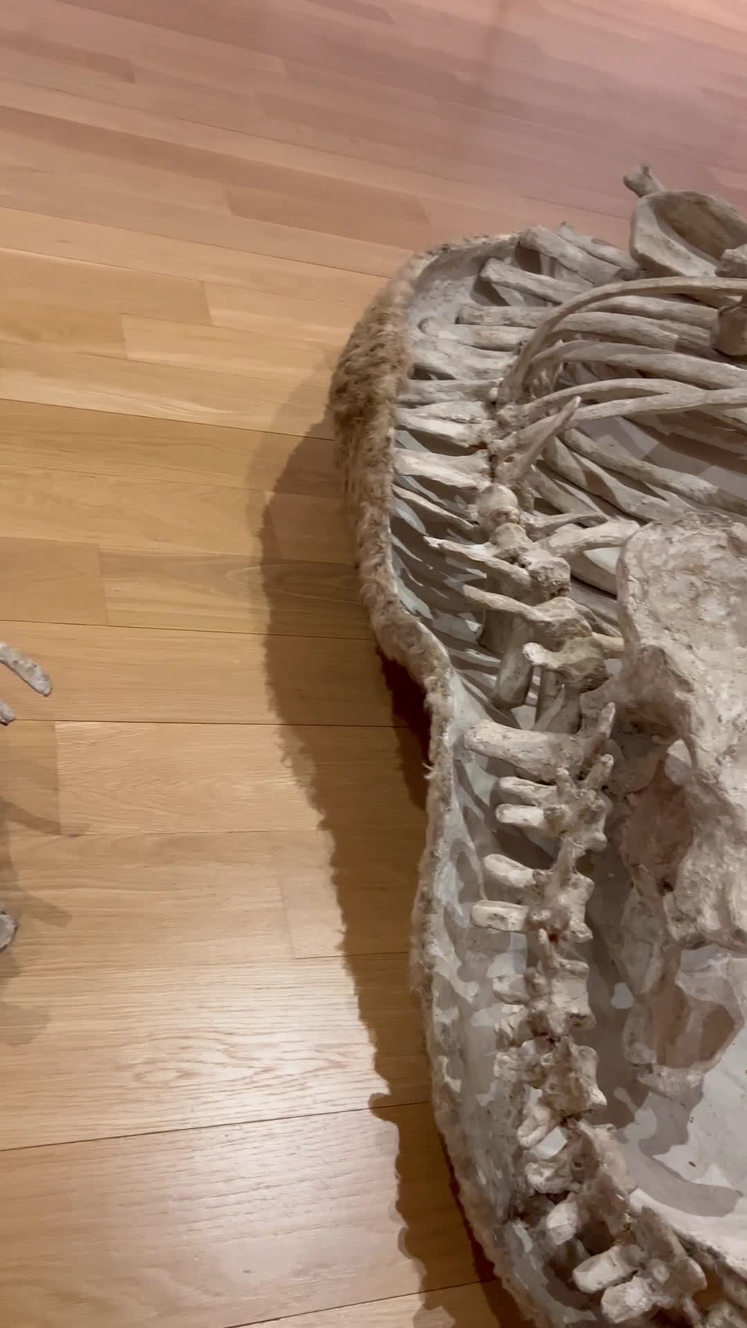 Modern Art Museum of Fort Worth