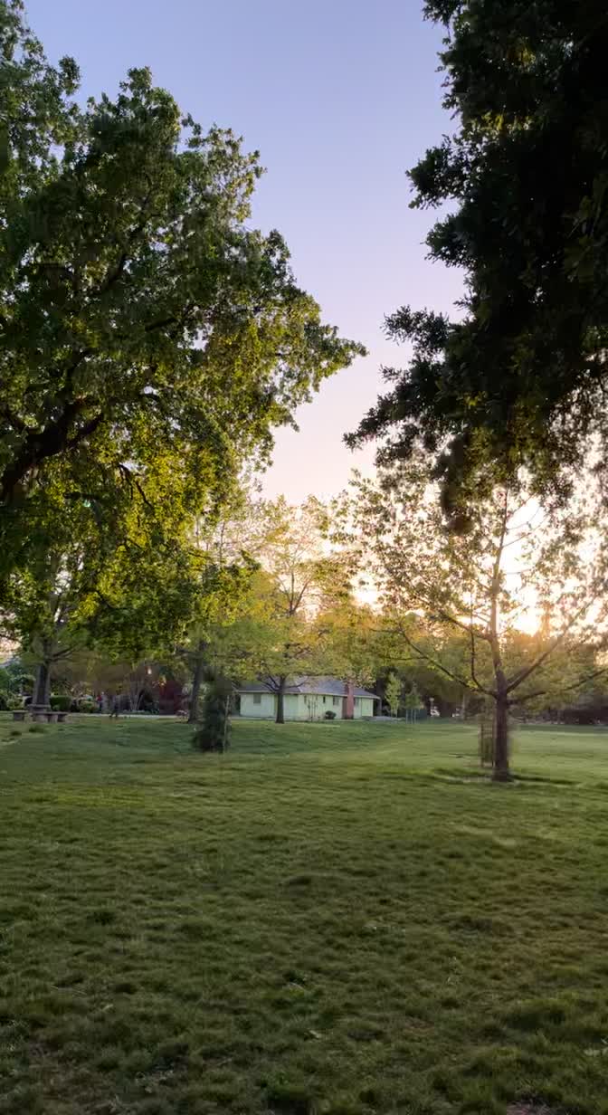 Video review of McKinley Park