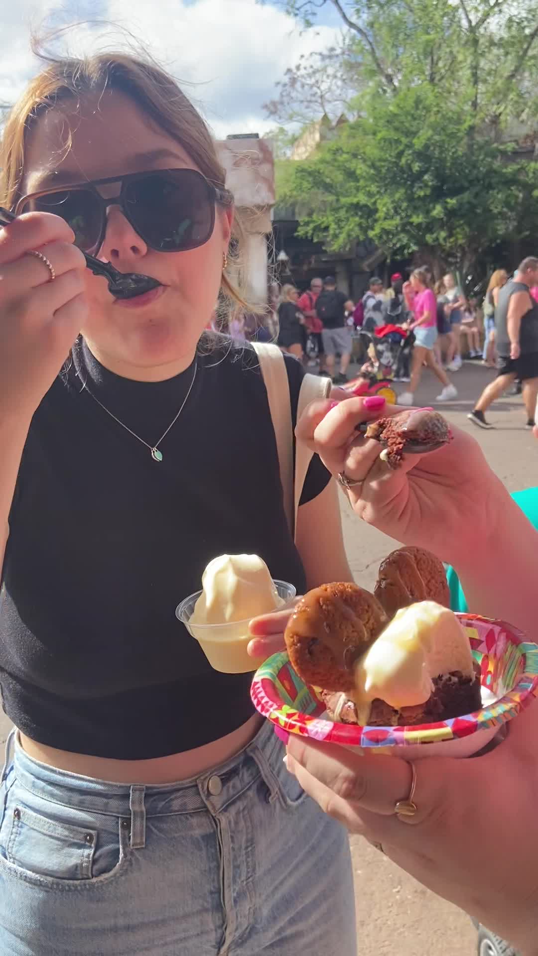 Video review of Disney's Animal Kingdom