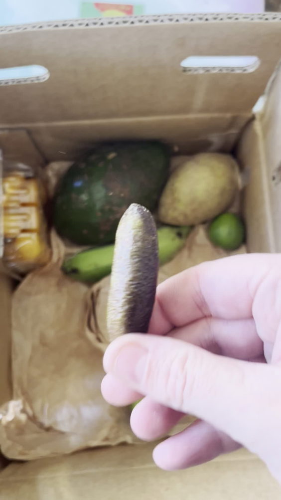 Miami Fruit Company