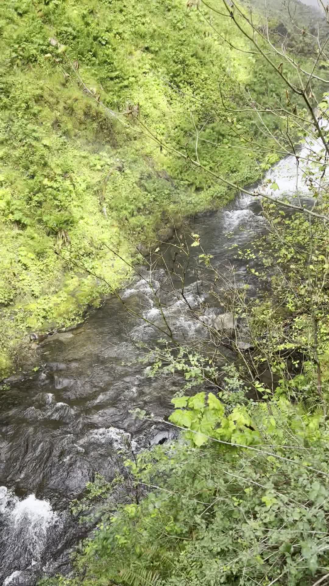 Video review of Multnomah Falls