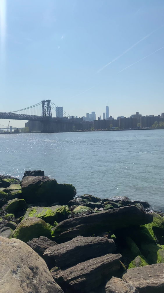 Domino Park