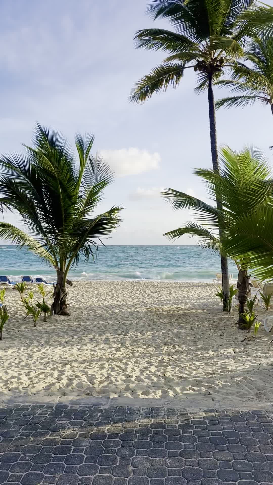Beach At Riu Bambu