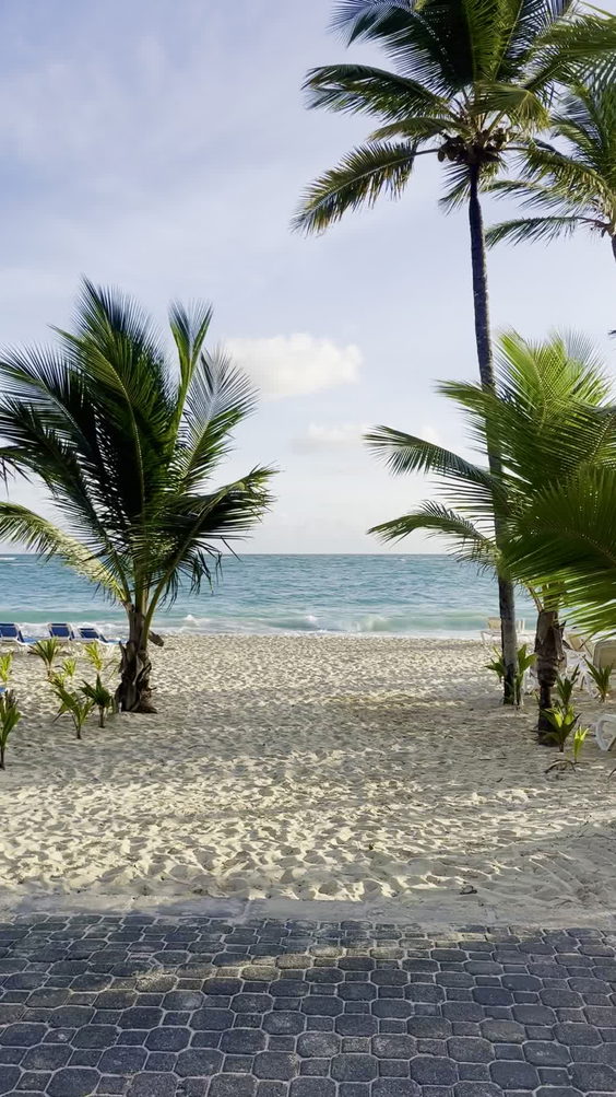Beach At Riu Bambu