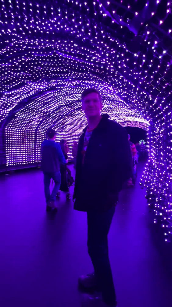 Zoo Lights!