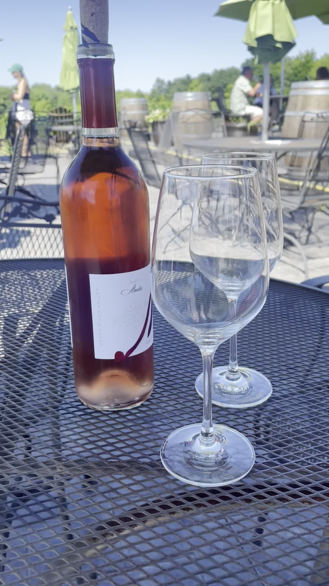 Video review of M Cellars