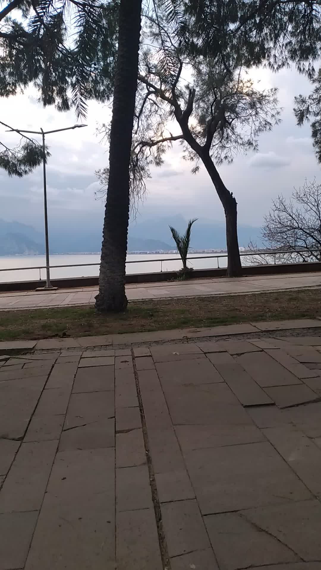 Karaalioğlan parki