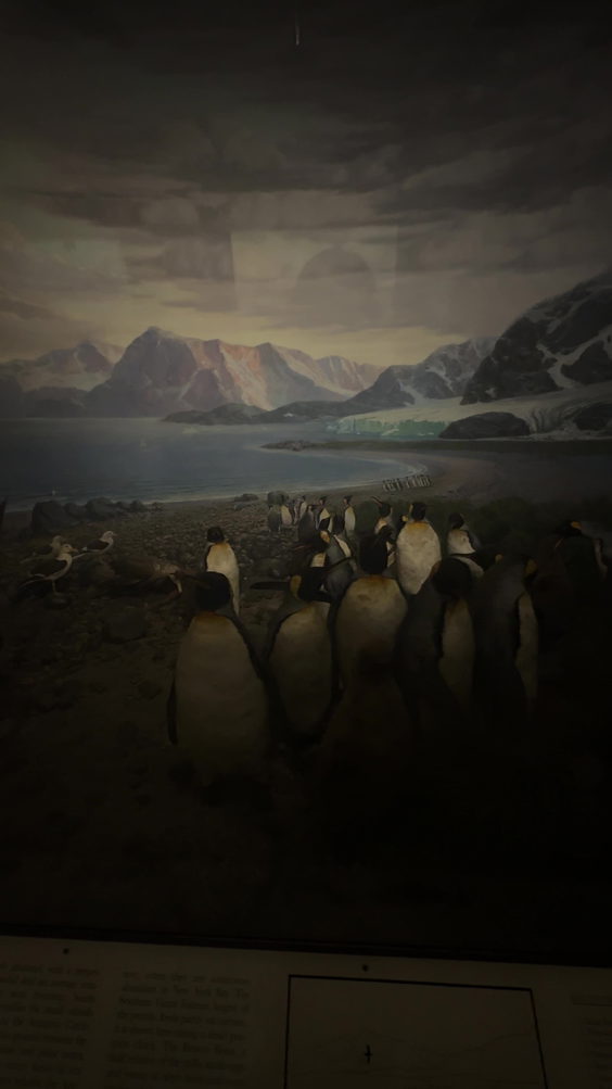 Hall of Vertebrate Evolution