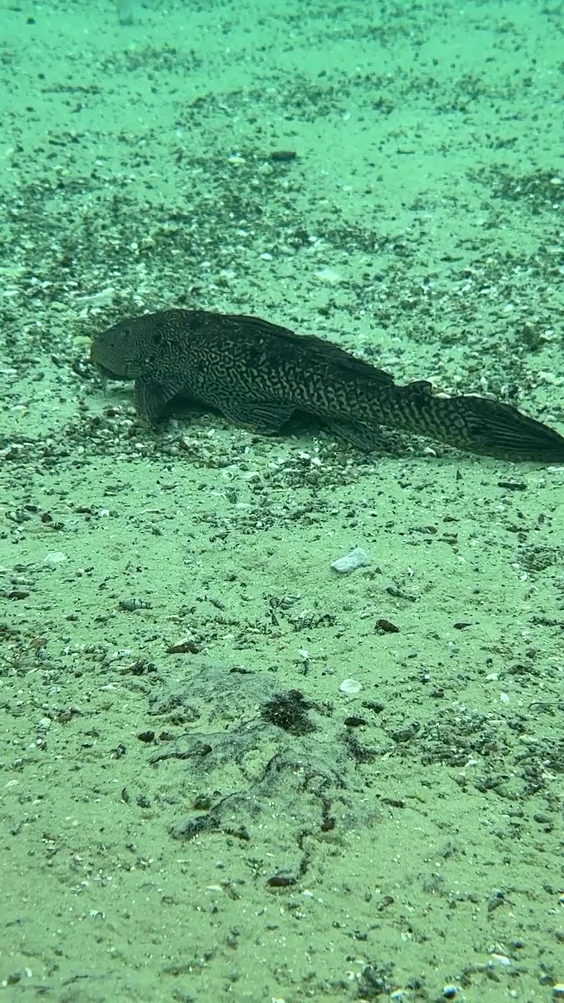 Apollo Beach Nature Park