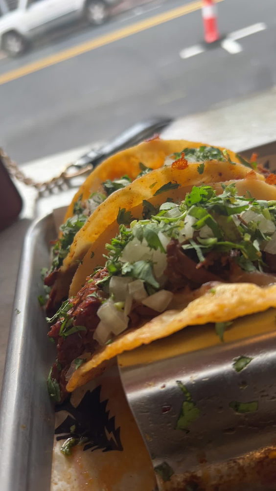 Twisted Pine