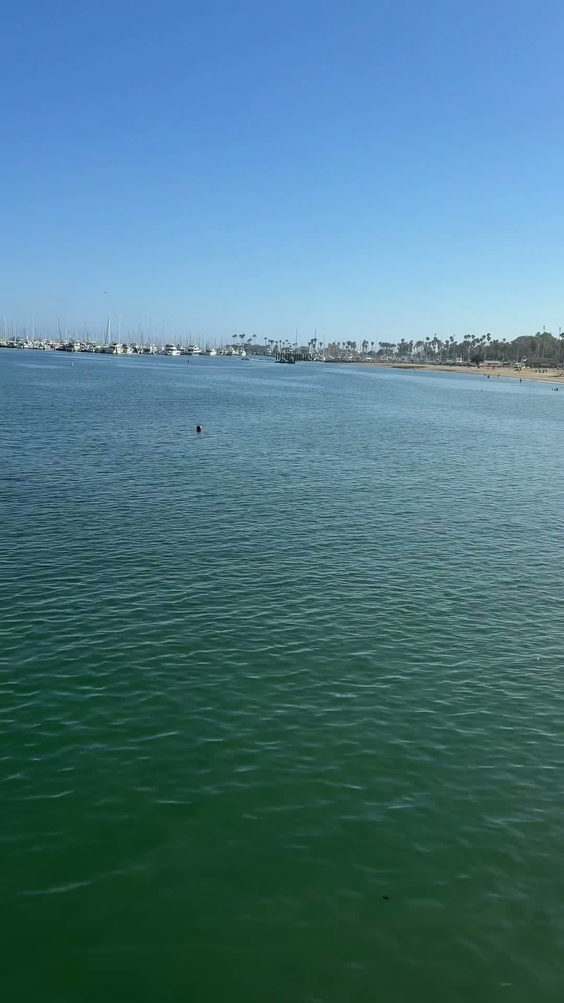 Stearns wharf