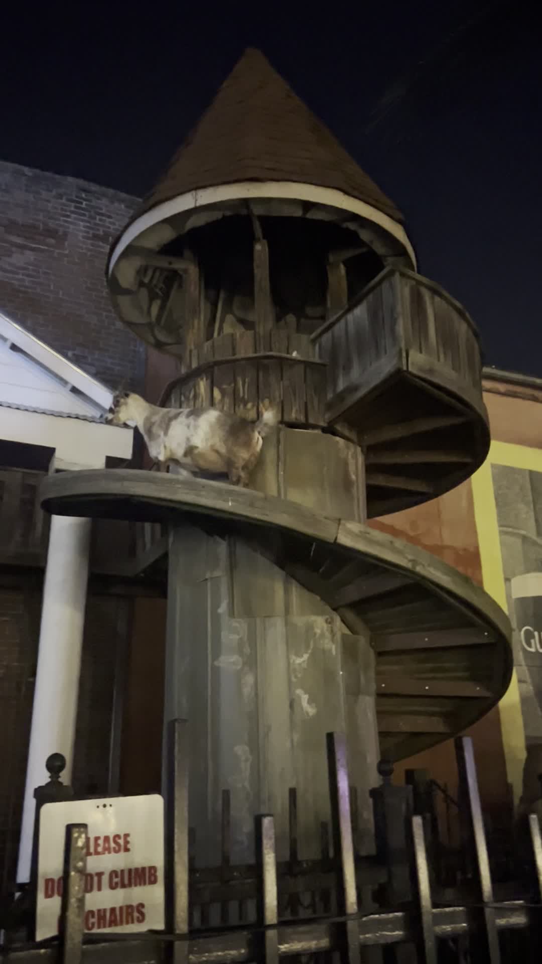 Video review of Silky O'Sullivan's