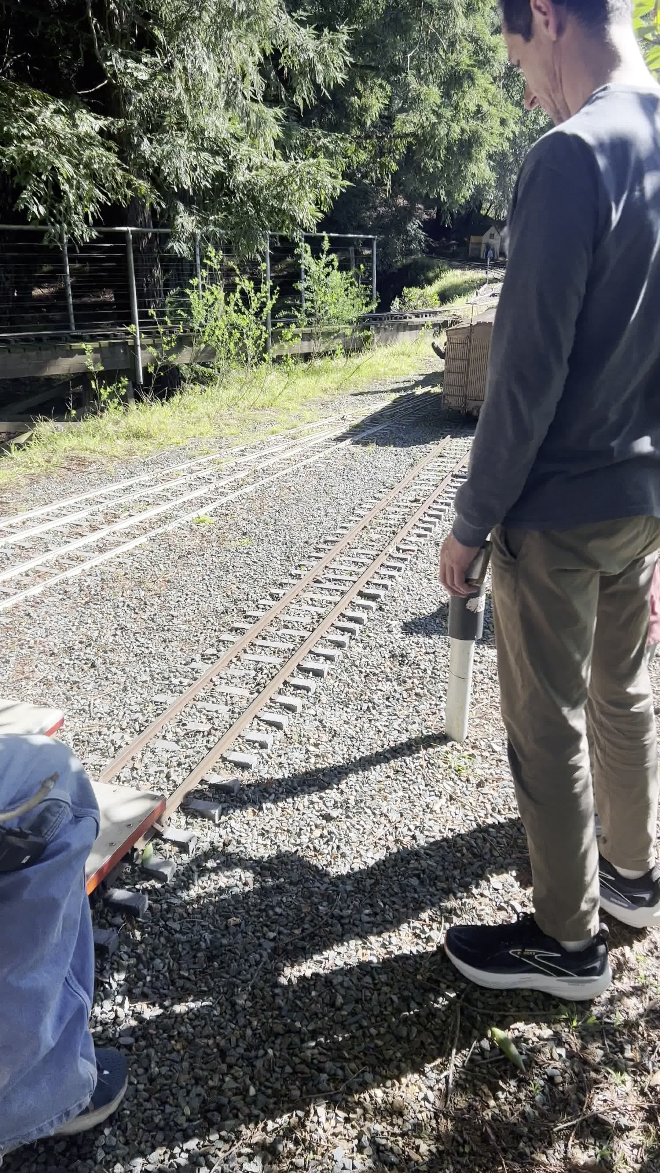 Tilden Regional Park - Lupine Trail
