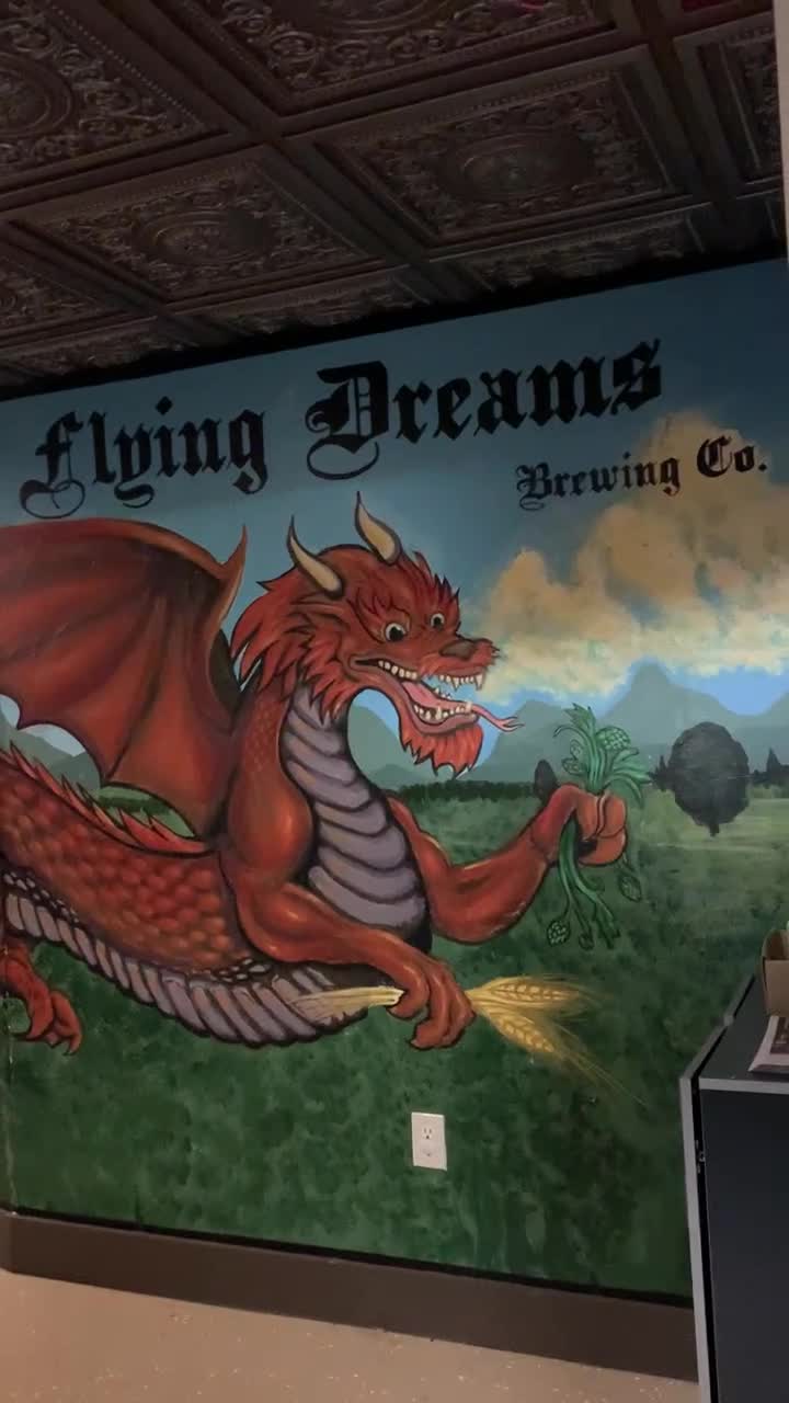 Video review of Flying Dreams Brewing Co. & Taproom