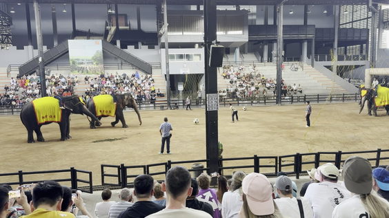 Elephant Theater