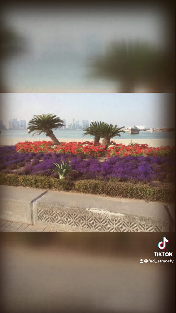 Nobu Doha