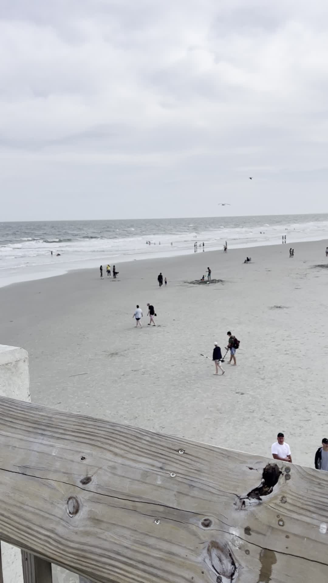 Pier 101 Restaurant & Bar