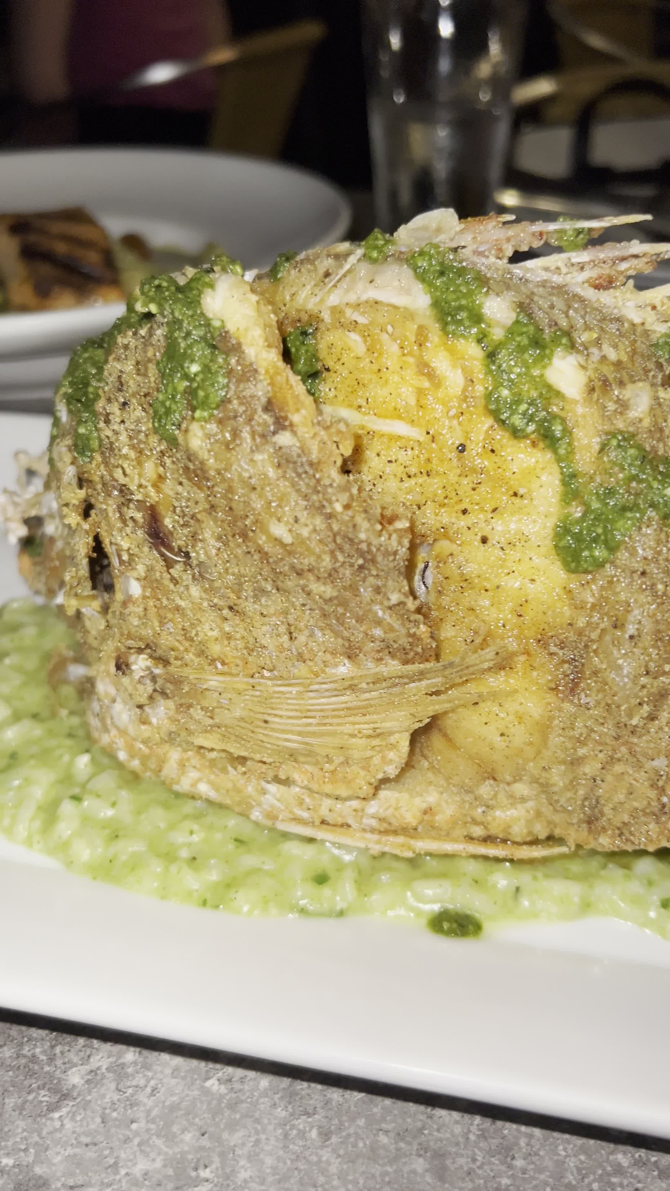 Video review of Roma