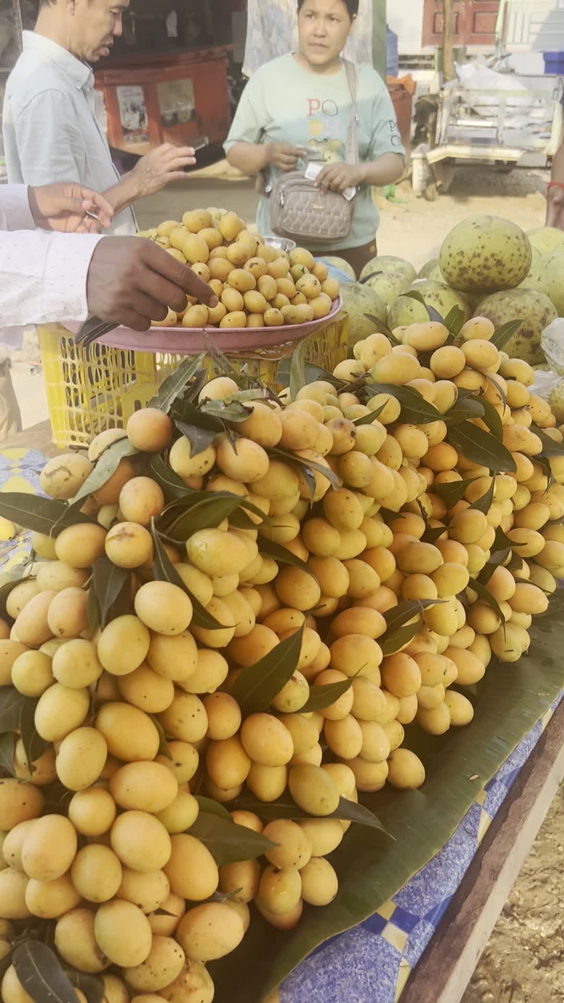 Banan District