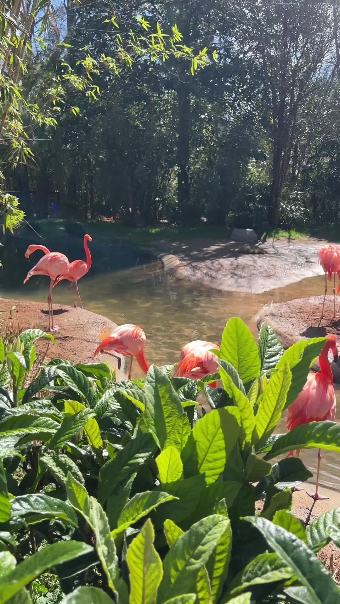 Riverbanks Zoo & Gardens