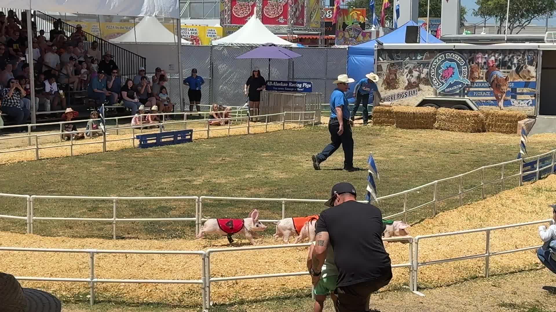 Original Bratwurst