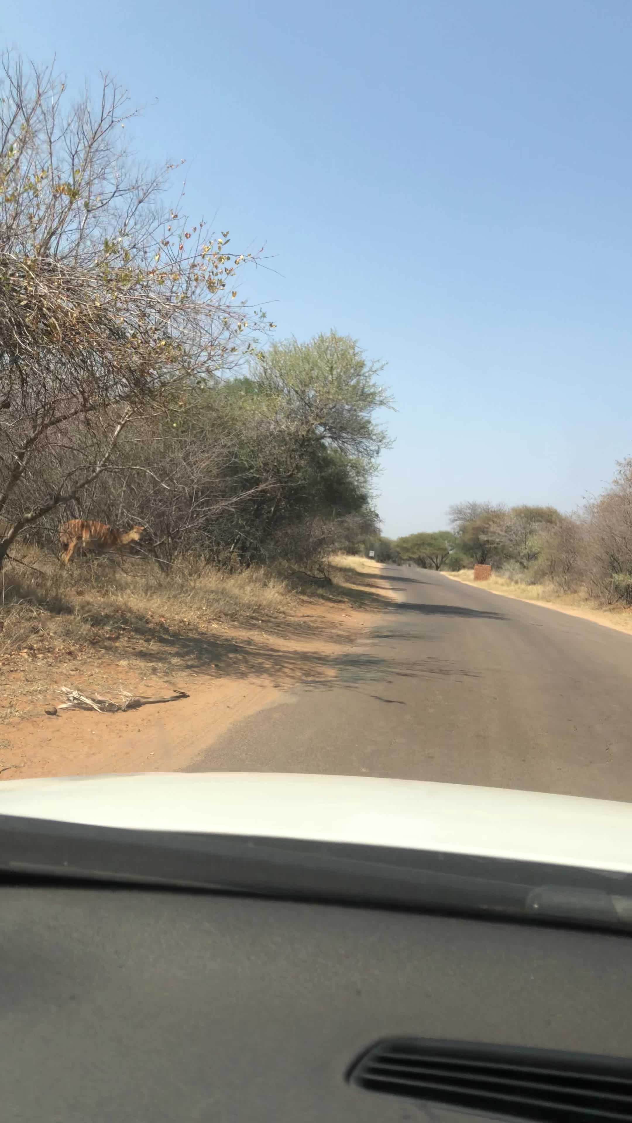 Mabalingwe Nature Reserve