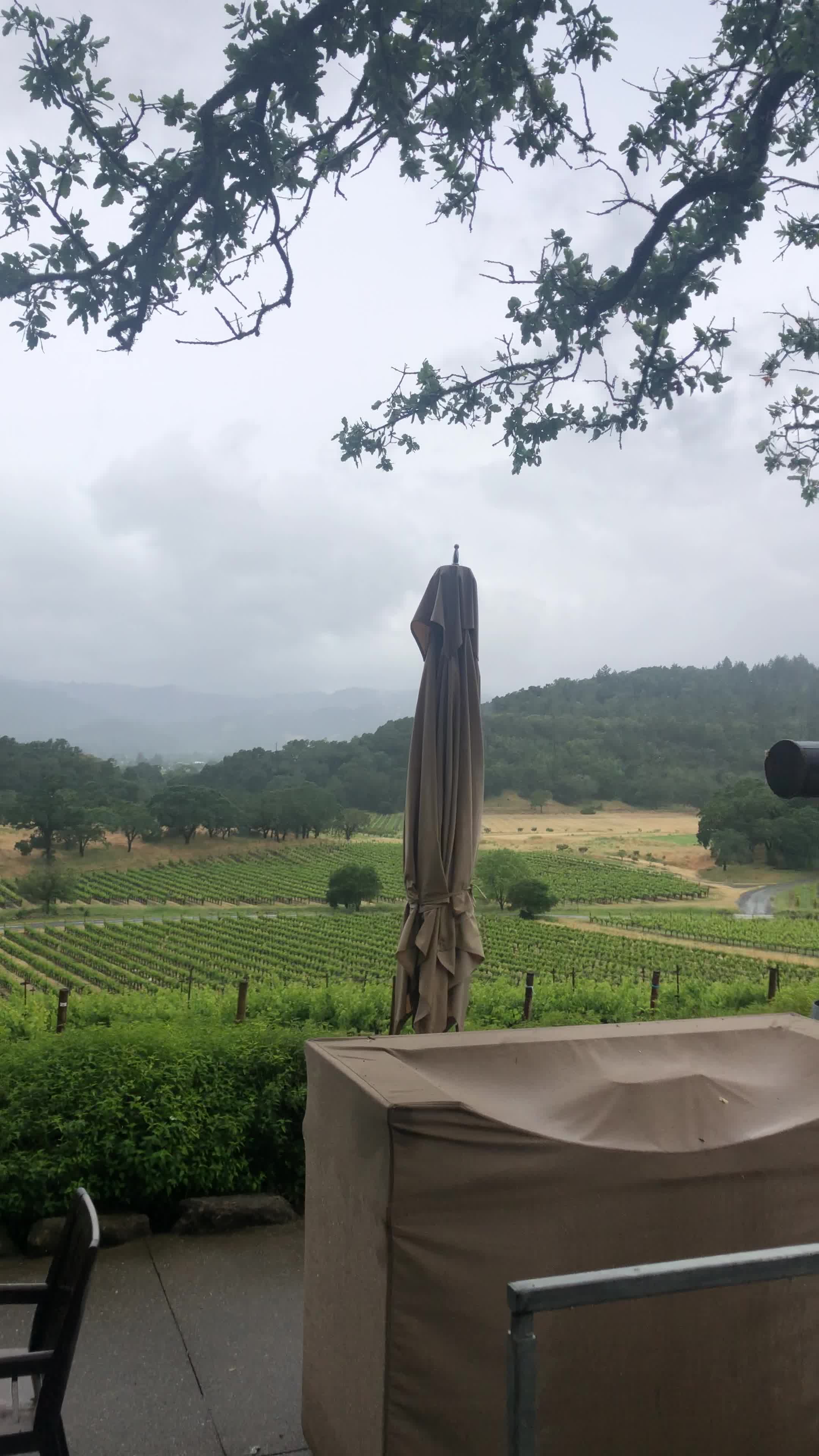 Joseph Phelps Vineyards