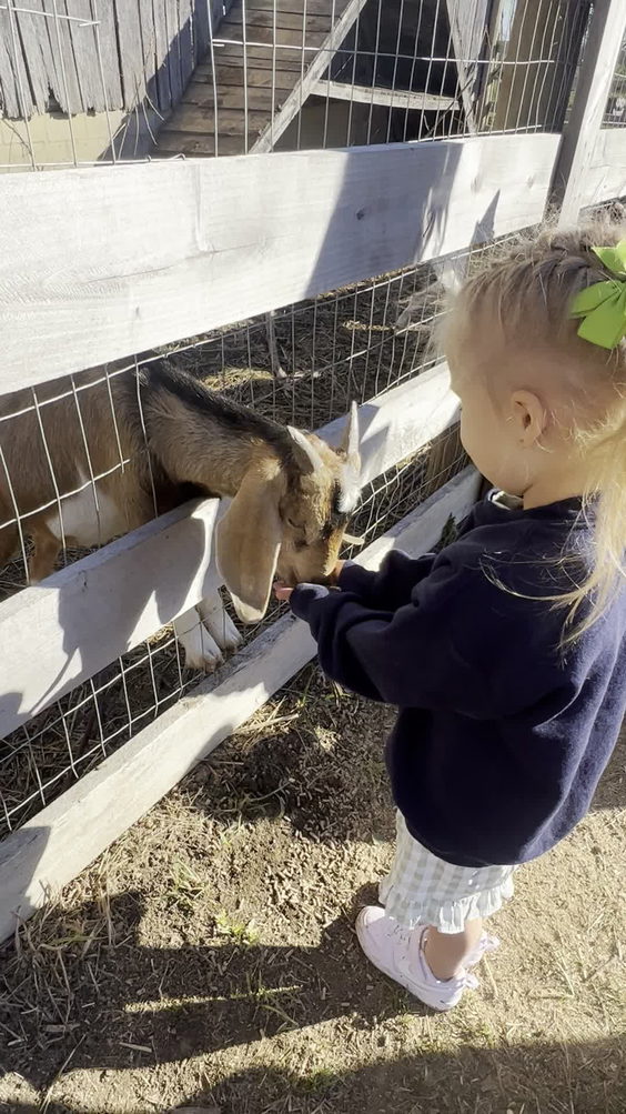 Baldwin farms
