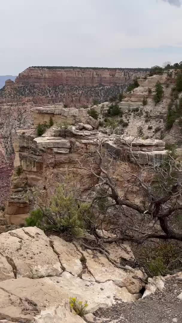 Video review of Grand Canyon West
