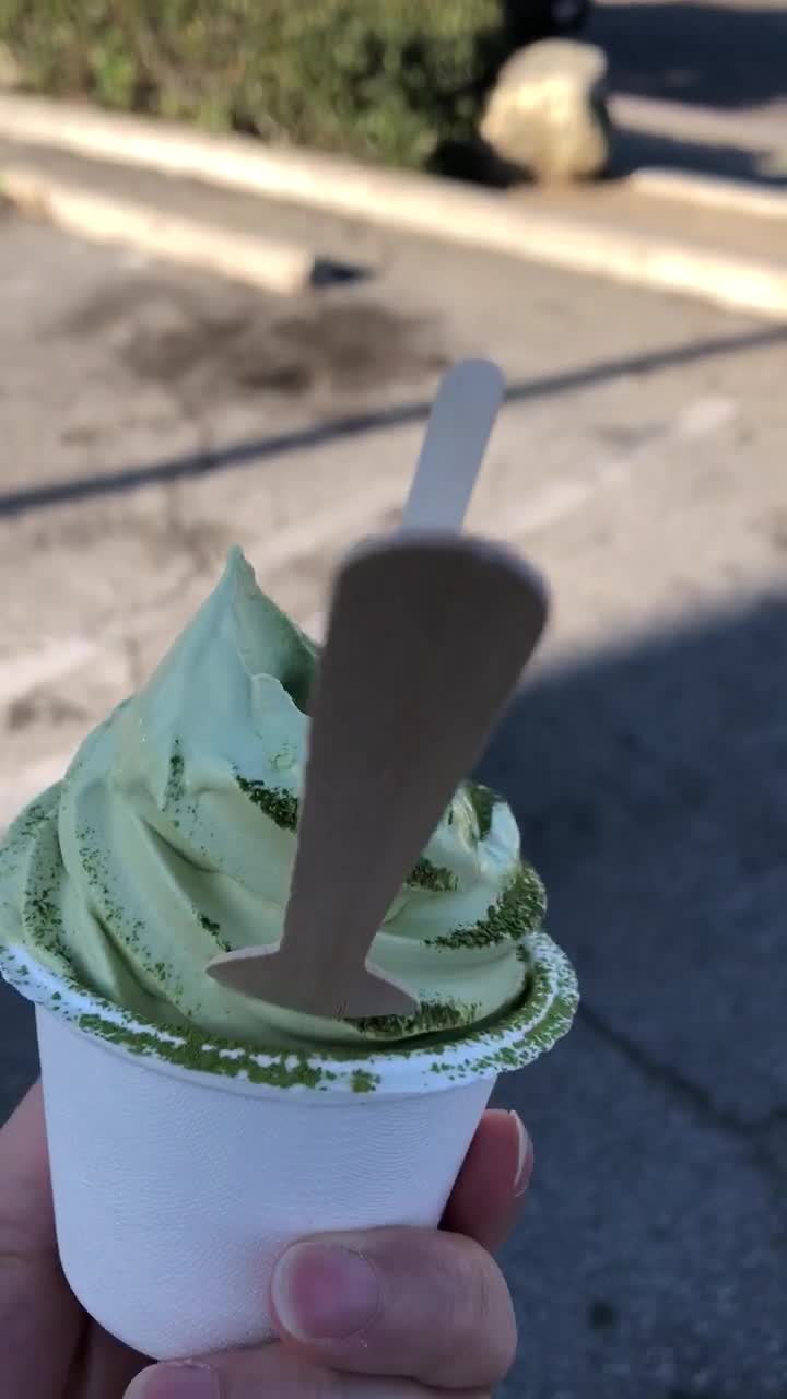 Video review of Tea Master Matcha Cafe and Green Tea Shop