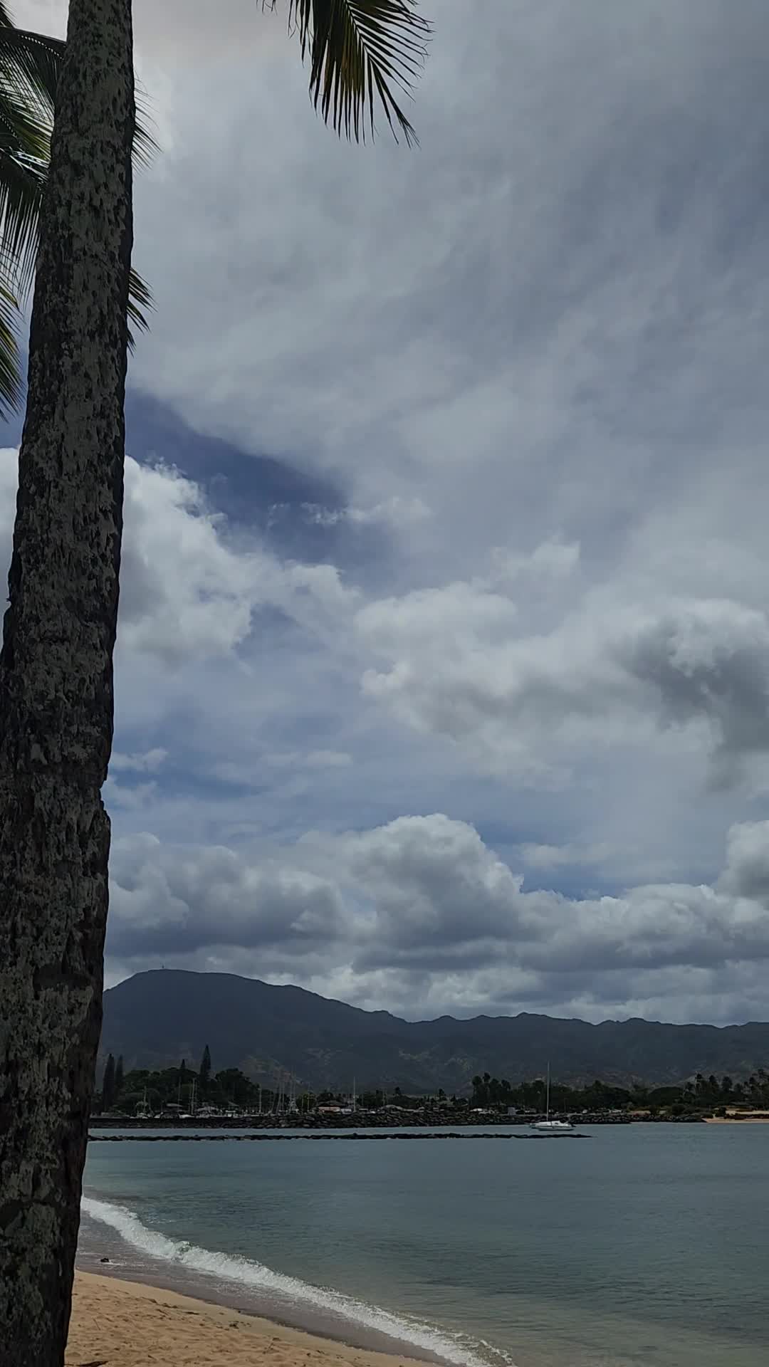 Video review of Hale'iwa Beach Park