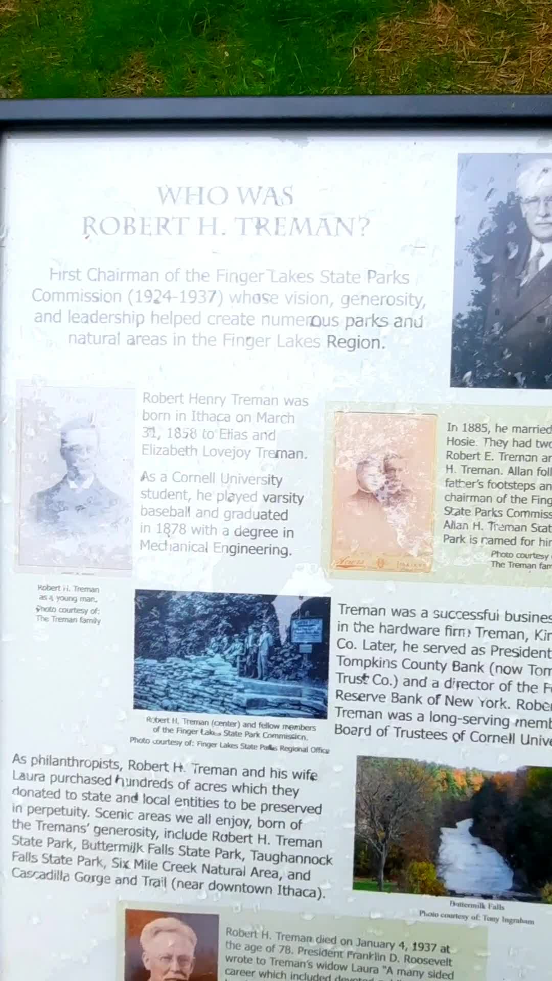 Robert H Treman State Park