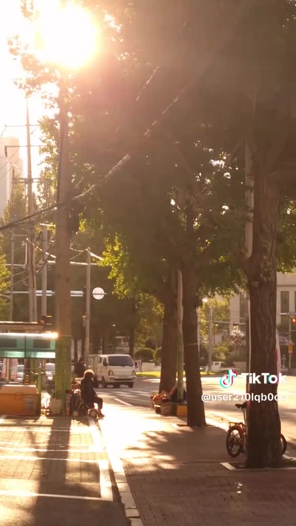 Myeongdong Night Market