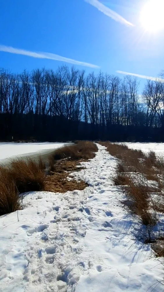 Brick Pond