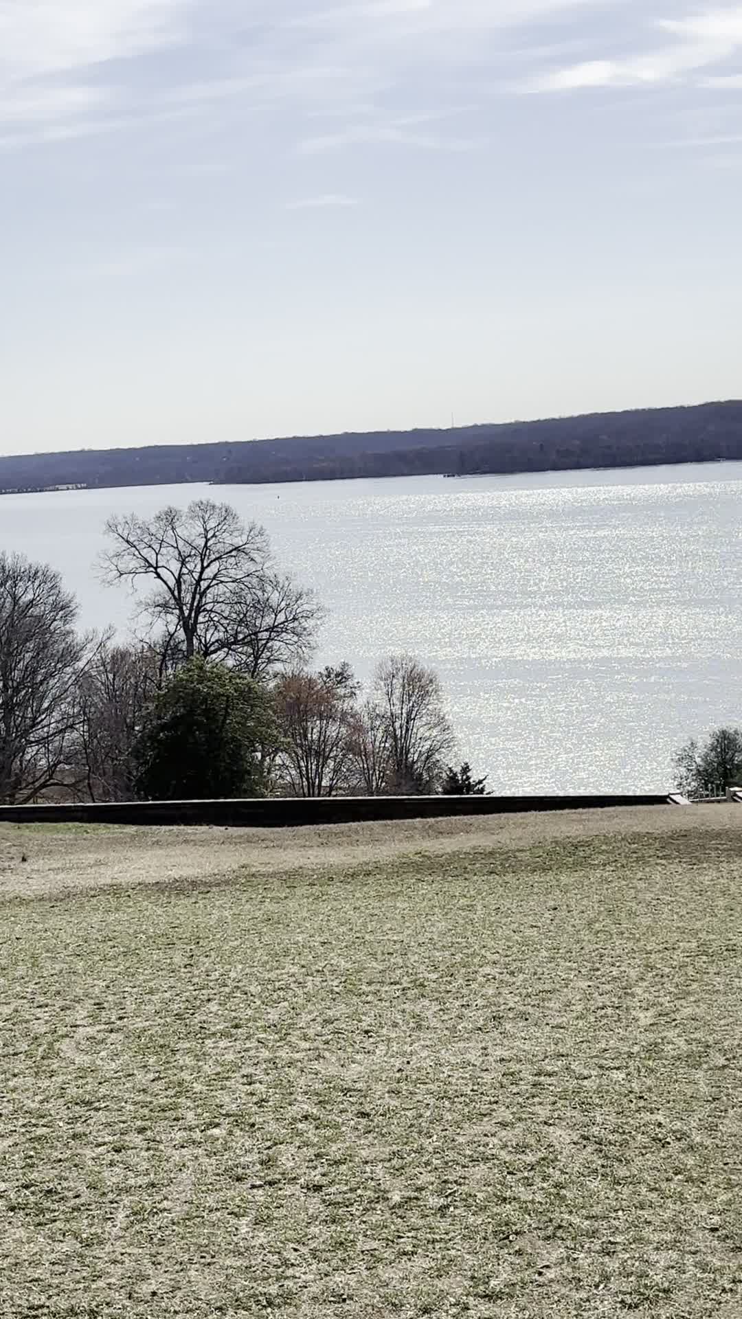 Zapote Mexican Grill