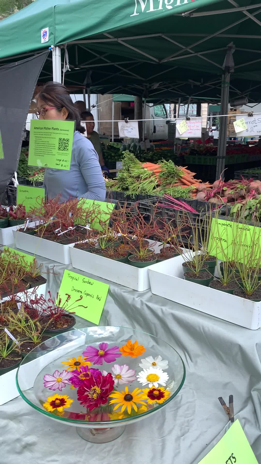 Video review of Union Square Greenmarket