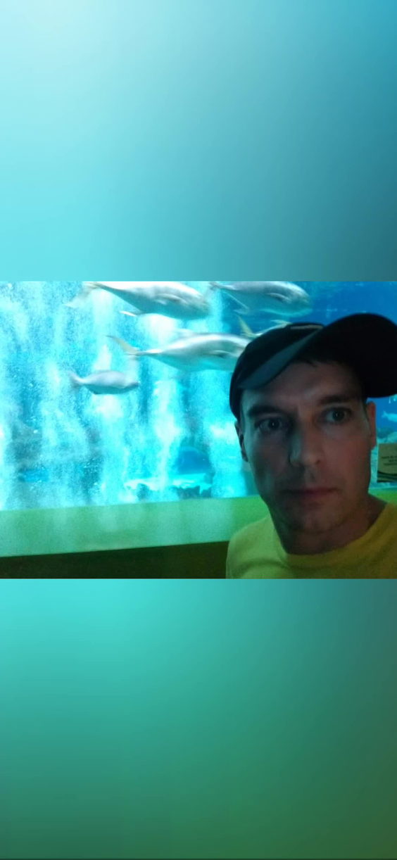 OdySea Aquarium