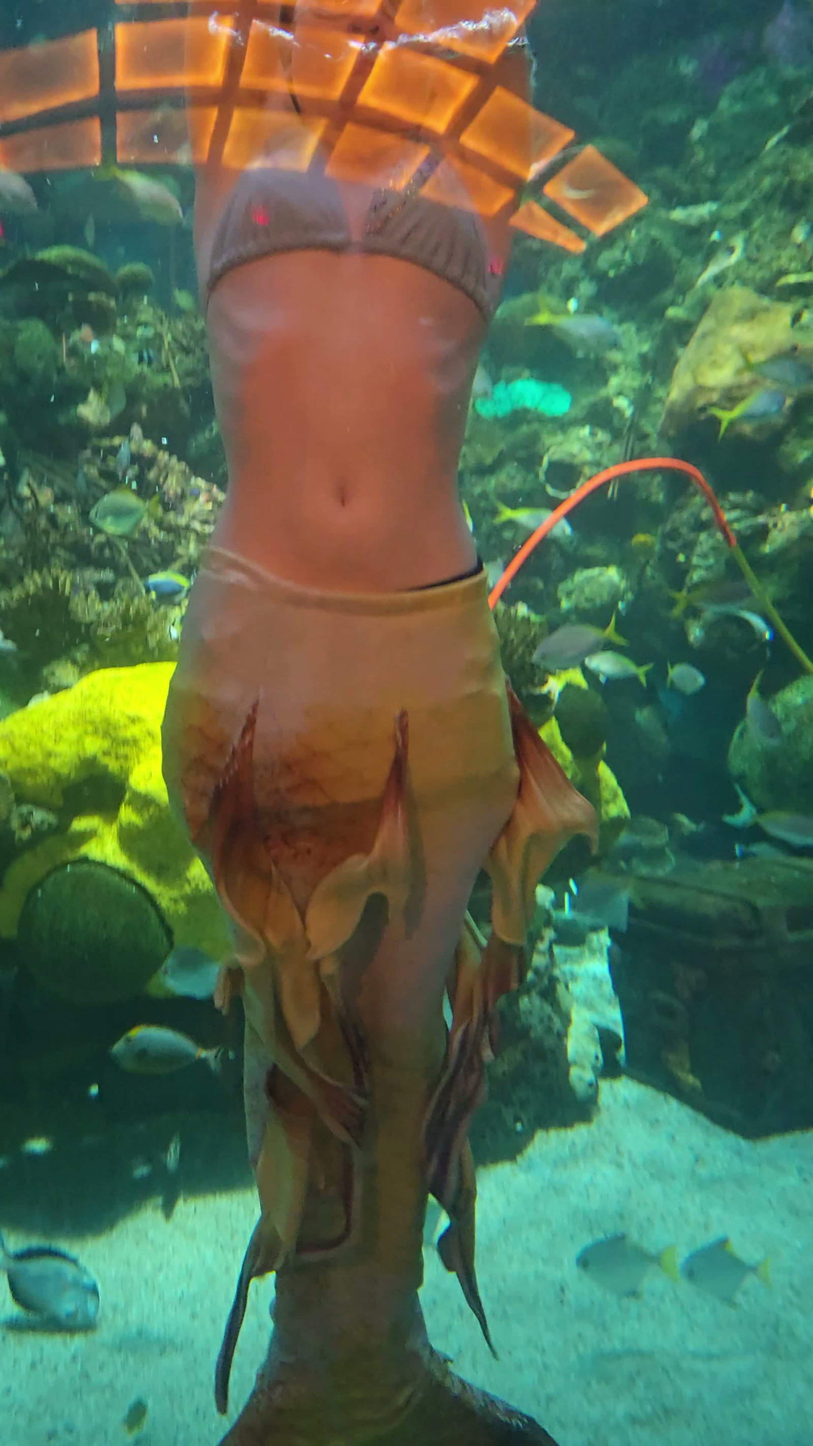 Video review of Silverton Mermaid Tank