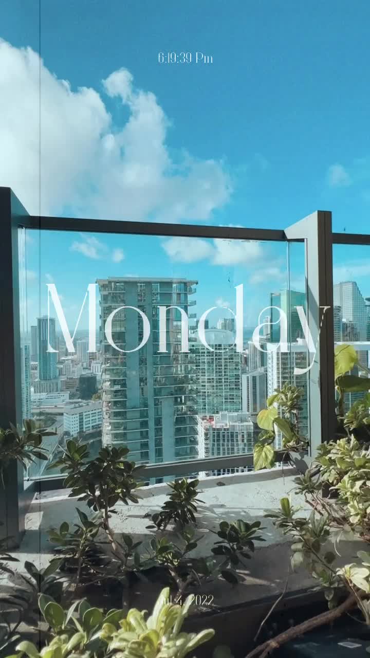 Video review of Sugar