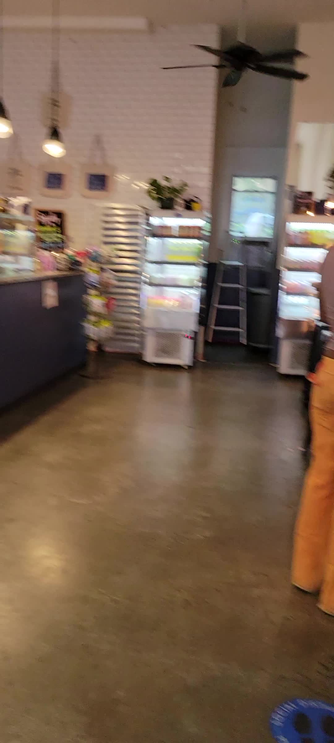 Video review of Viva! Cafe