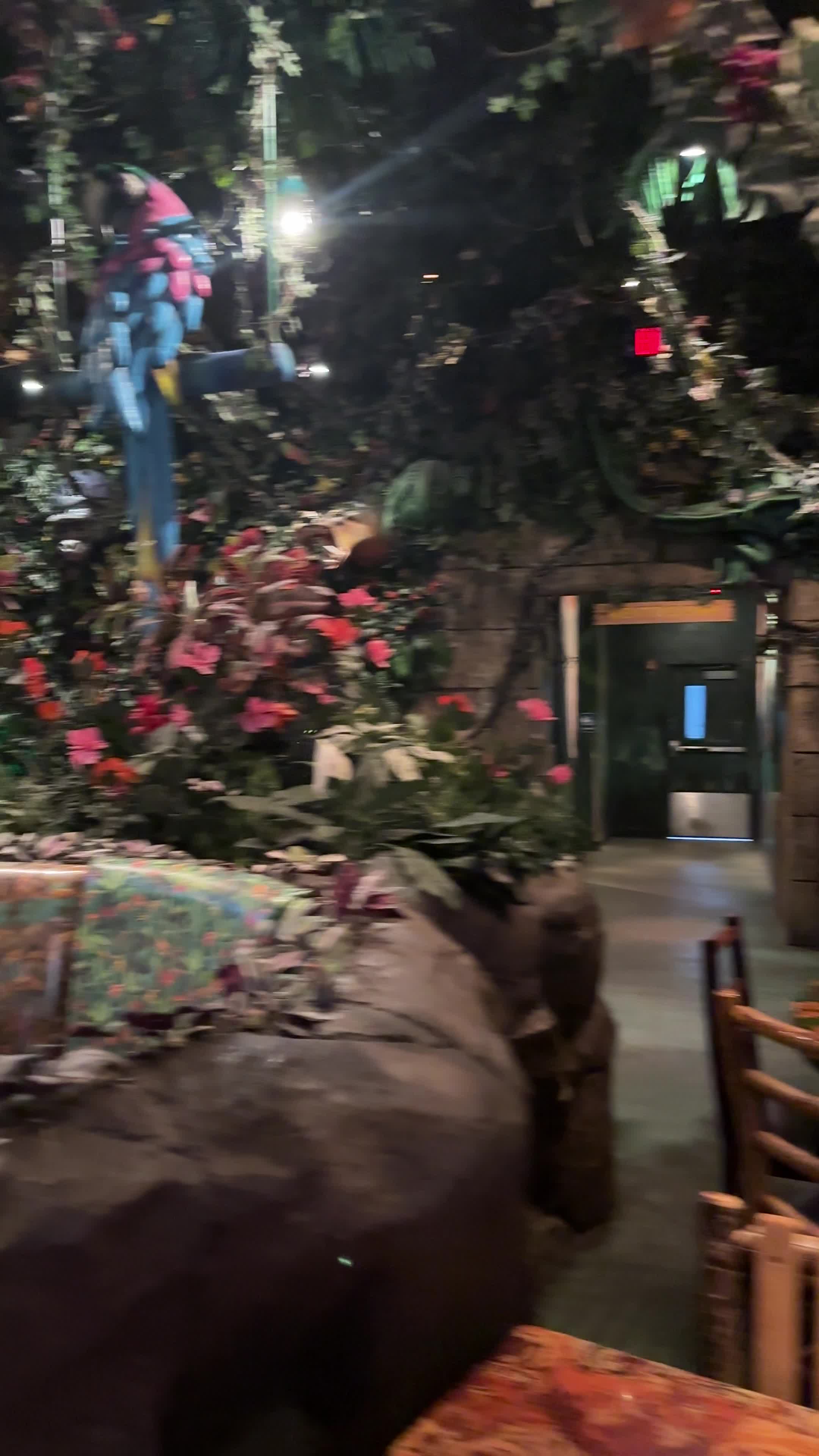 Video review of Rainforest Cafe
