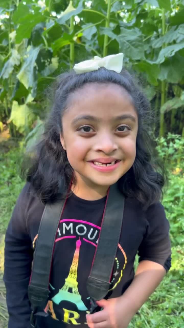 Fausetts Farm Horse Trails and Sunflowers