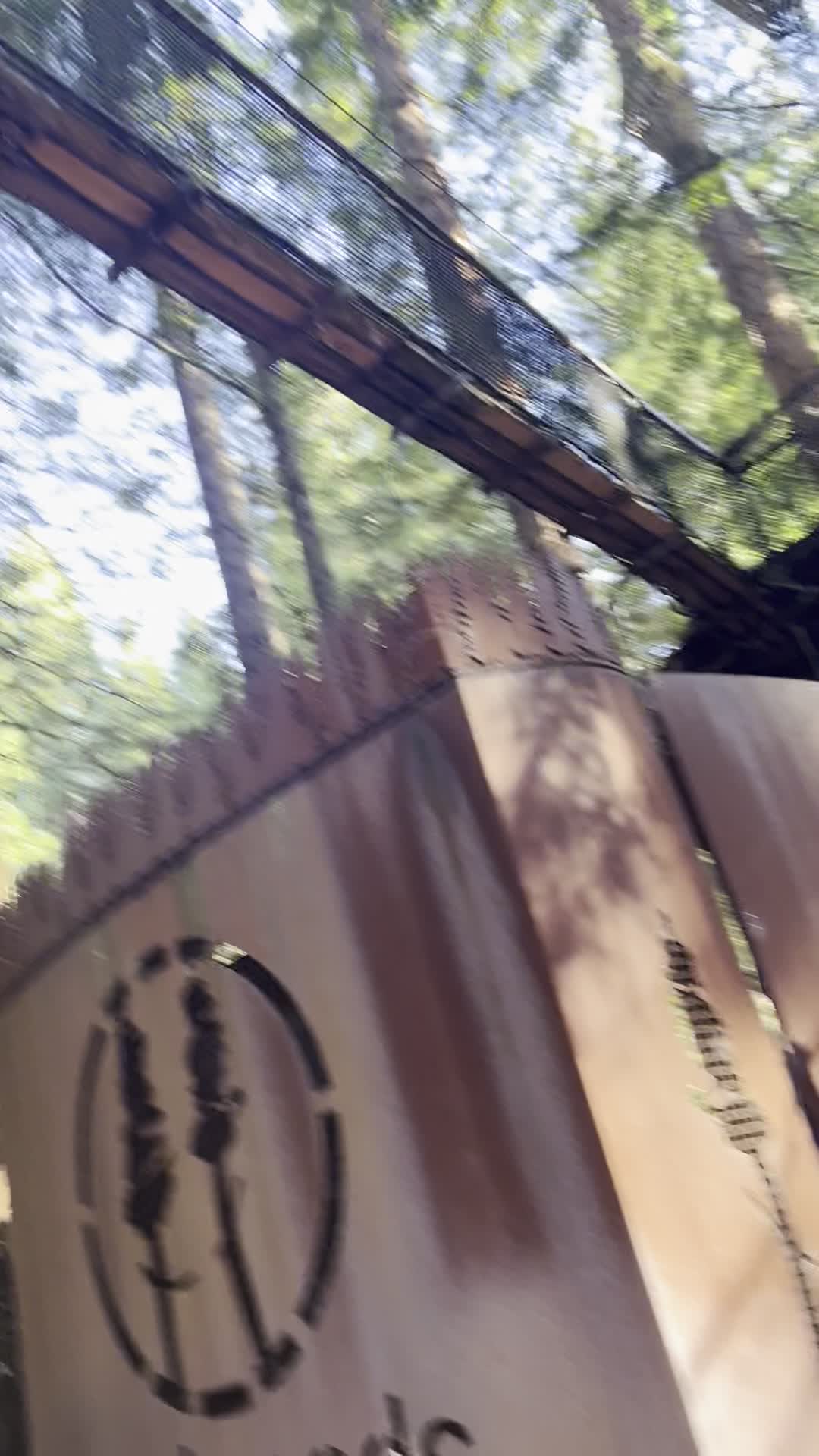 Redwoods Treewalk