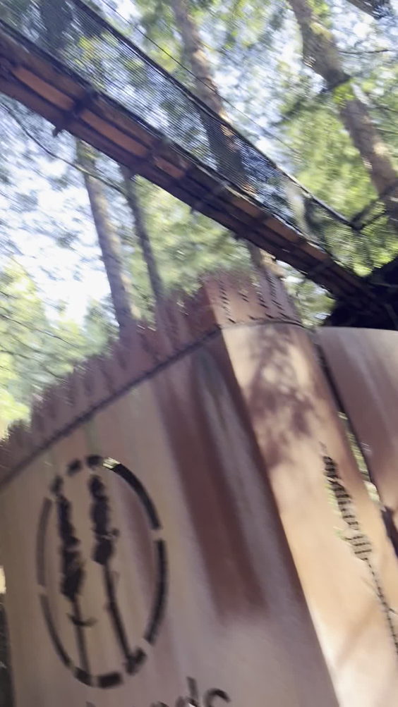 Redwoods Treewalk