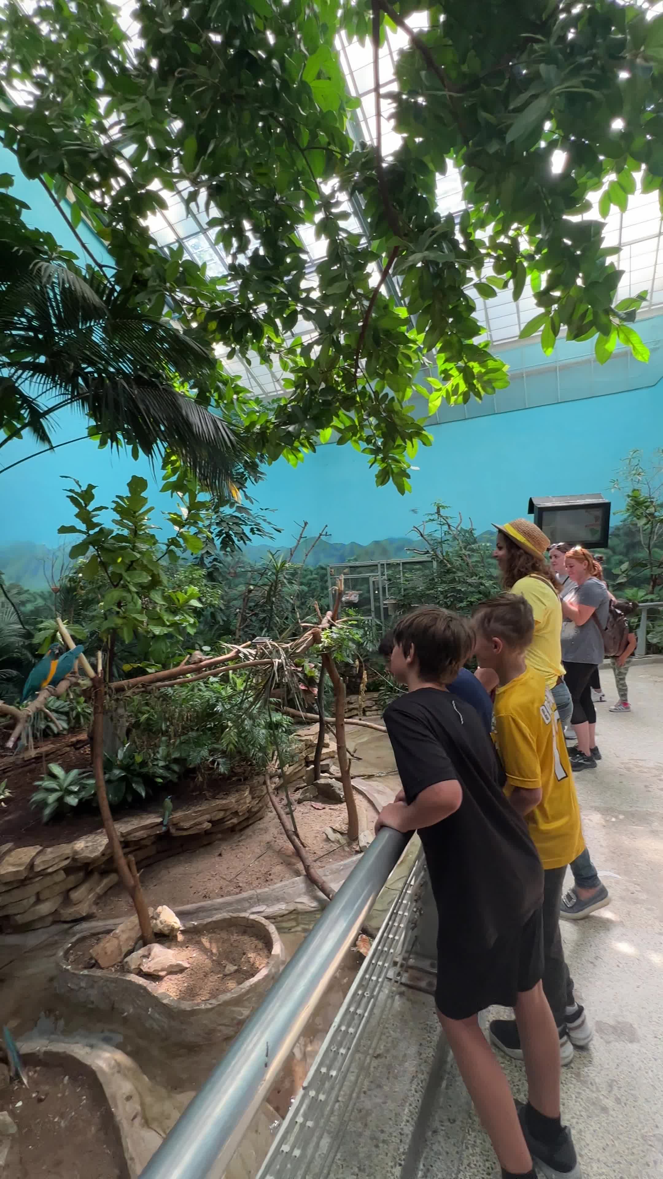 Brookfield Zoo