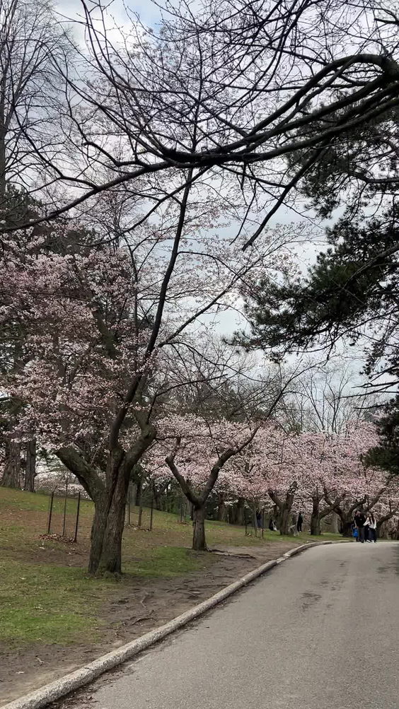 High Park